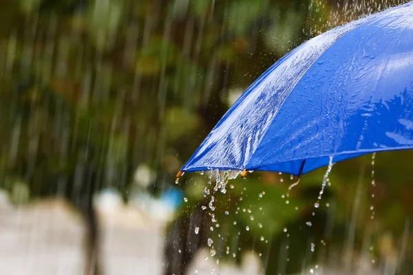 Lluvias dispersas al final de la tarde se esperan en Occidente 
