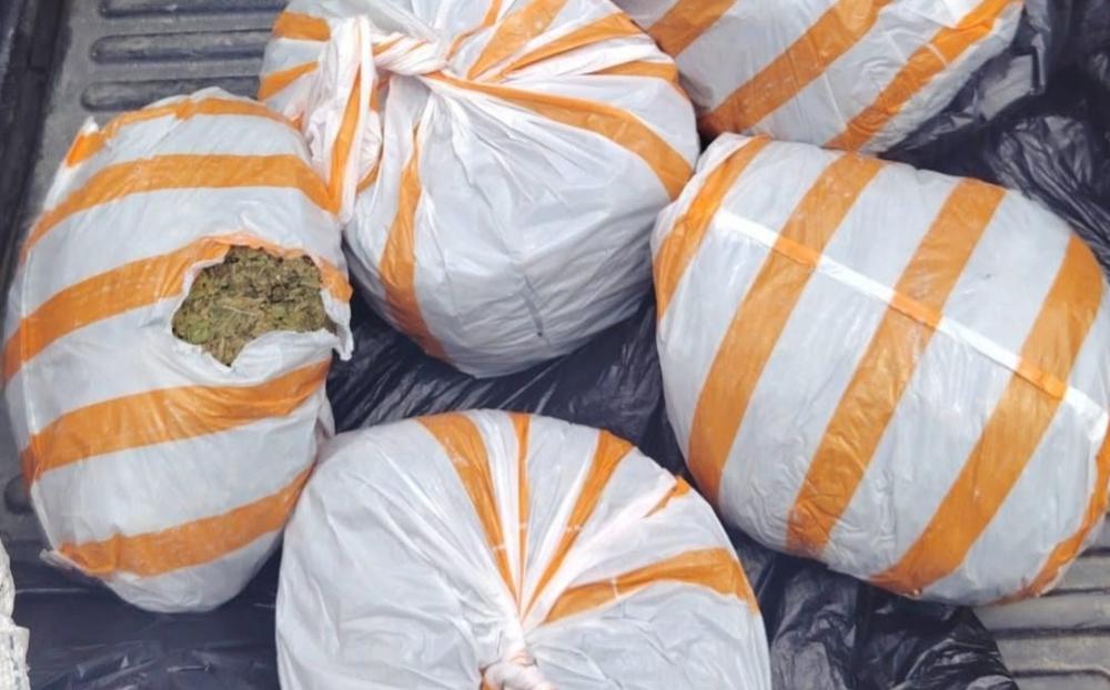Llevaba 15 libras de marihuana en un microbús y termina capturado